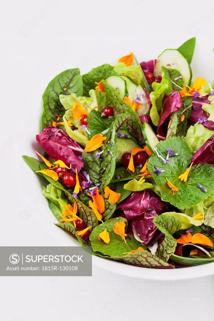 Salad in bowl on white background, close up