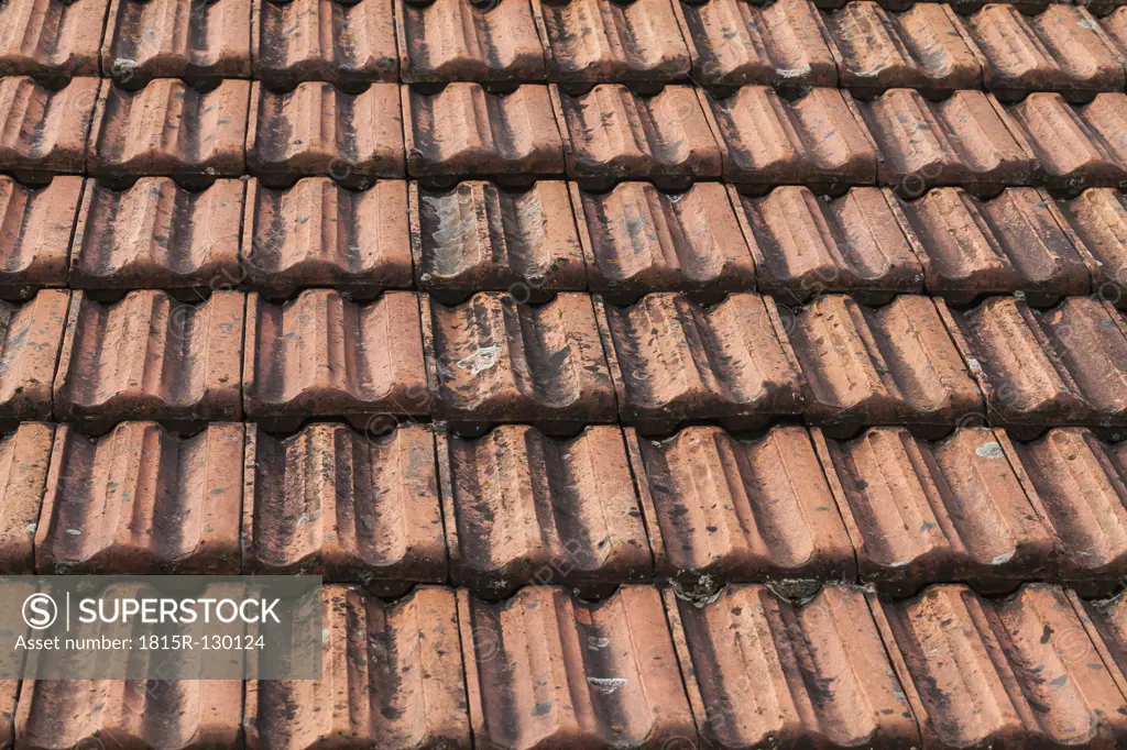 Germany, Laupheim, Old pantiles on rooftop of old barn