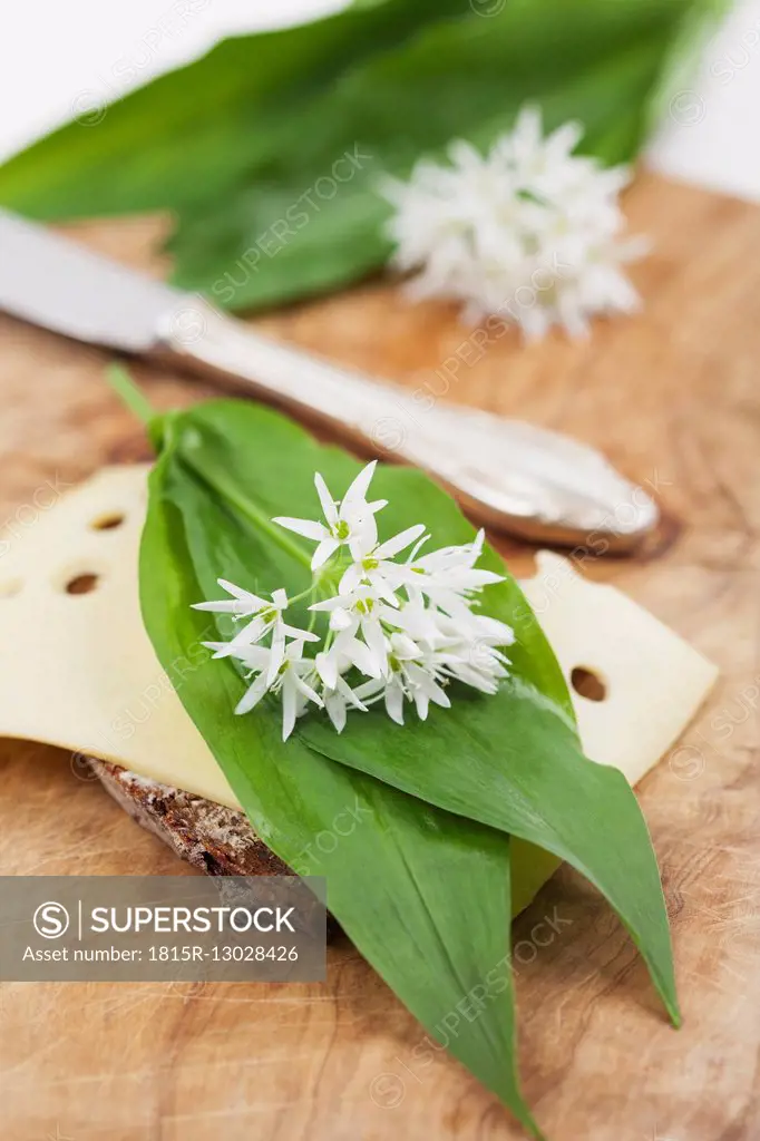 Slice of bread with cheese and fresh ramson, eatable blossom