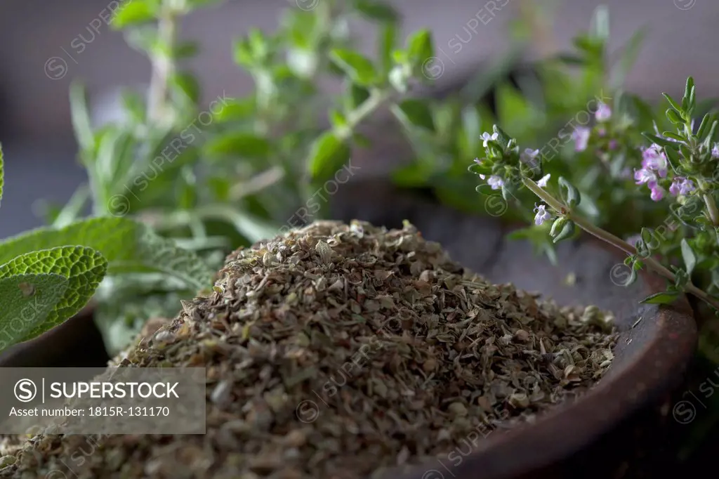 Variety of Italian herbs and powder in wooden spoon, close up