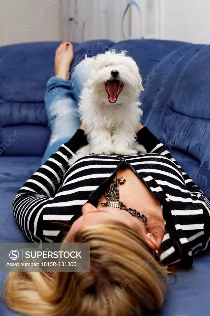 Austria, Woman lying on sofa with maltese dog