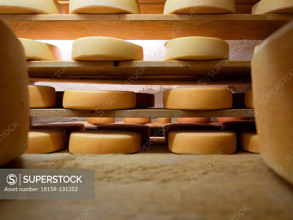 Germany, Baden Wuerttemberg, Processed cheese in cellar