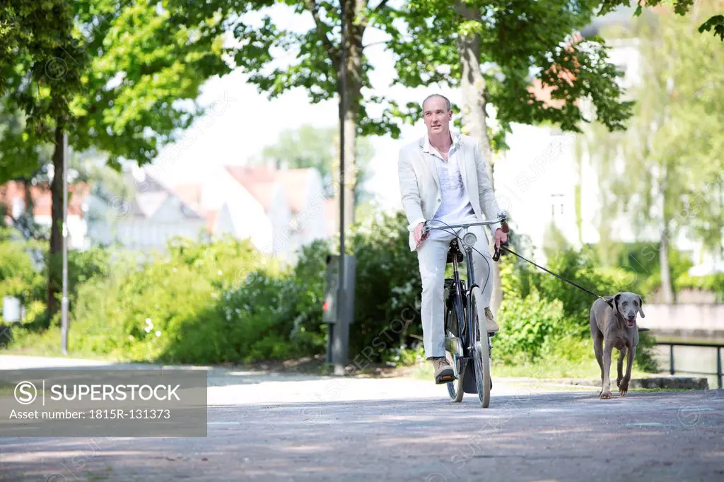 Germany, Bavaria, Mature man riding bicycle with Weimaraner dog, smiling