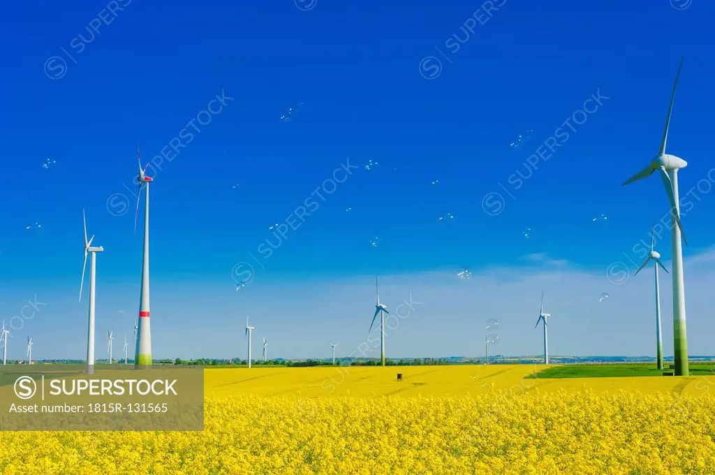 Germany, Saxony, Wind turbines in oilseed rape field
