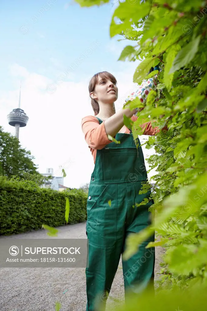 Germany, Cologne, Young woman cutting leaves with shears, smiling