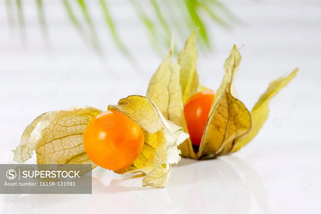 Physalis on white background, close up