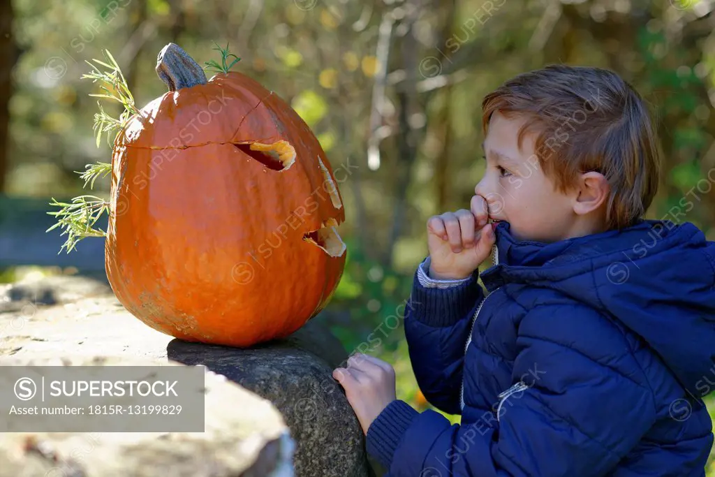 Boy examining Halloween pumpkin in forest