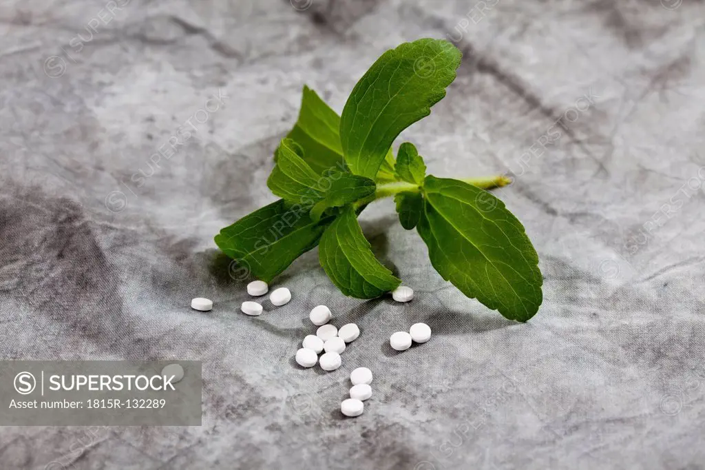 Stevia rebaudiana with sweetener tablets on textile