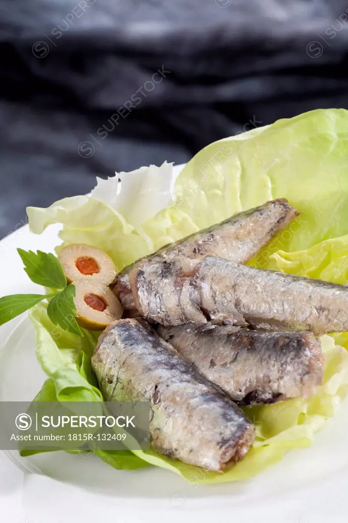 Plate of sardines in oil, close up