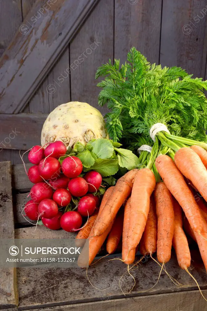 Germany, Carrots, garden radish and celery on wood