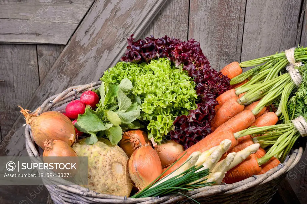 Germany, Carrots, asparagus, celery, onions, garden radish, chives in basket