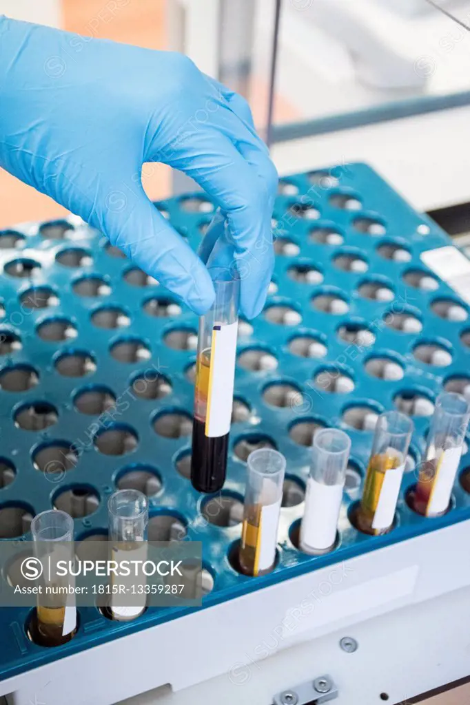 Laboratory technician in analytical laboratory taking test tubes tray
