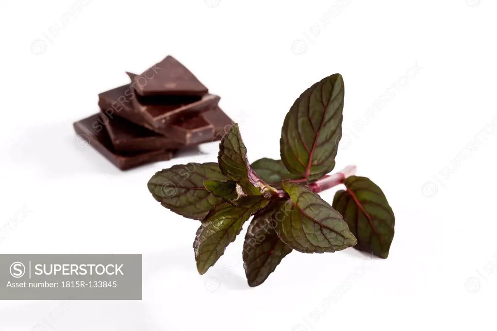 Chocolate and peppermint on white background, close up