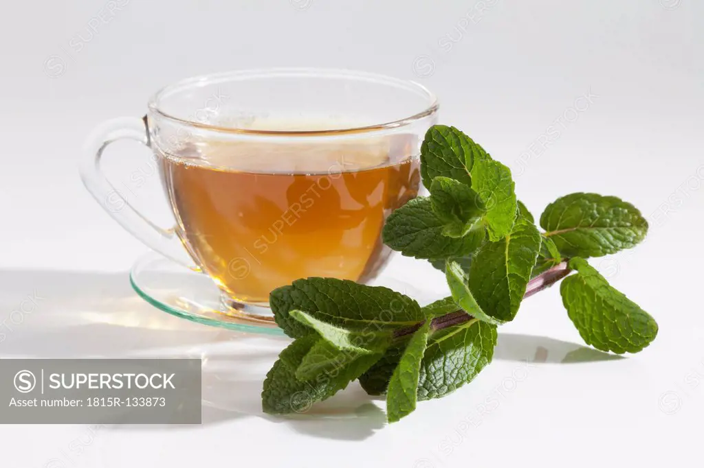 Moroccan mint with cup of mint tea on white background, close up