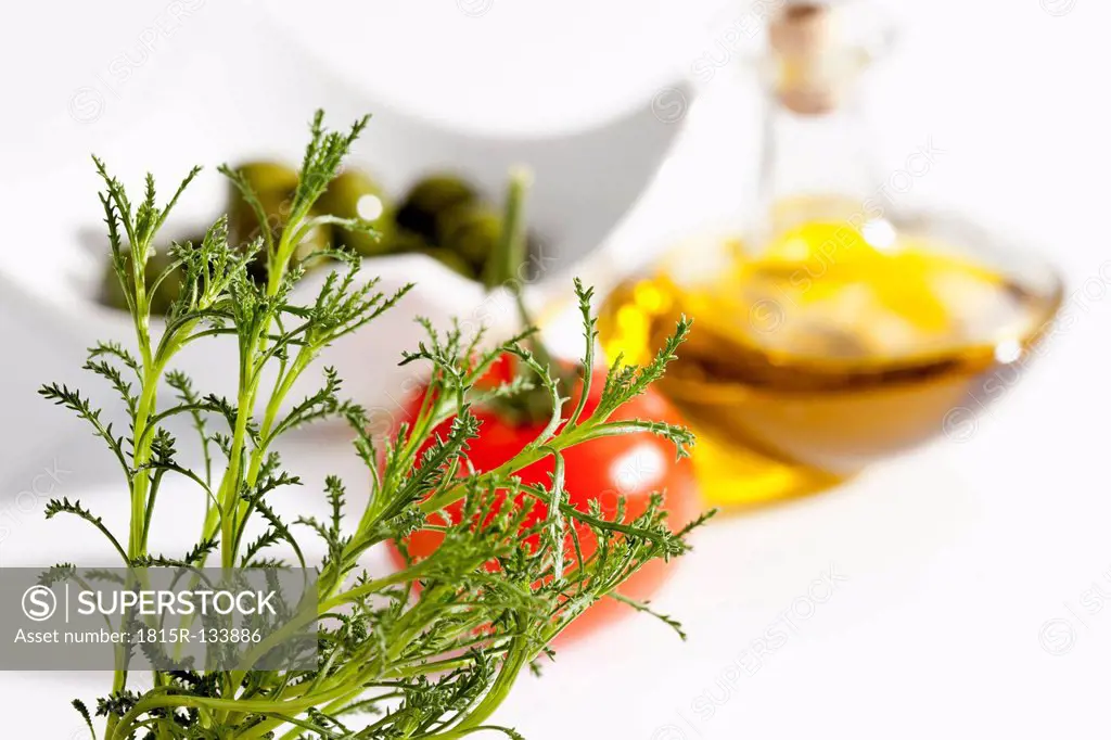 Olive herb with tomato, olives and olive oil on white background, close up