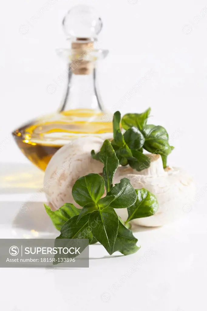 Mushroom plant with mushrooms and olive oil on white background, close up