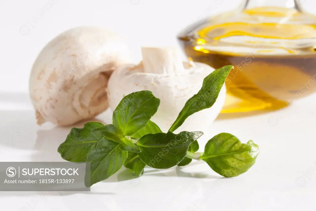 Mushroom plant with mushrooms and olive oil on white background, close up