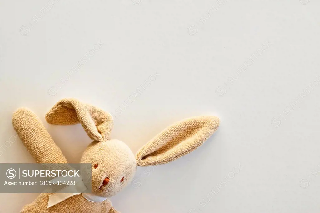 Cuddly toy rabbit, close up