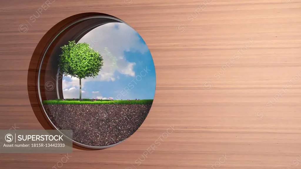 Porthole in wooden wall with tree growing on grass
