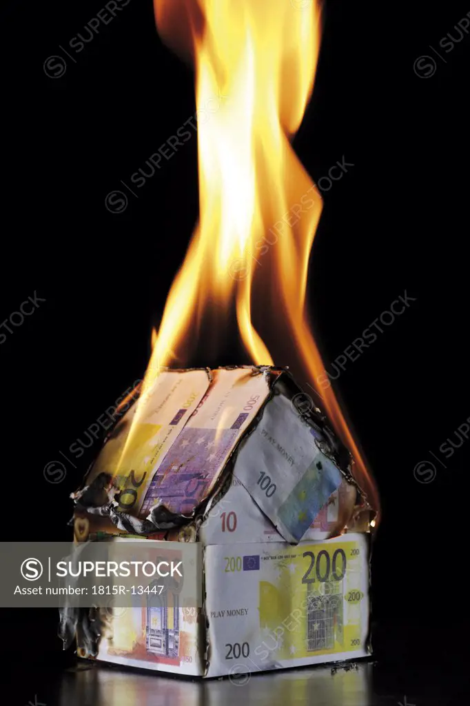 House of Euro notes burning