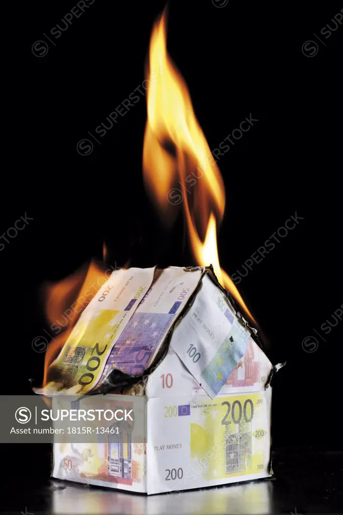 Single house of Euro notes