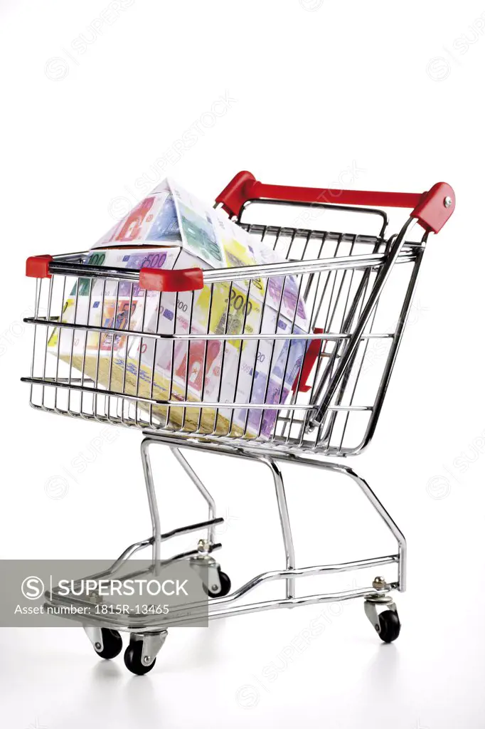House of Euro notes in shopping trolley