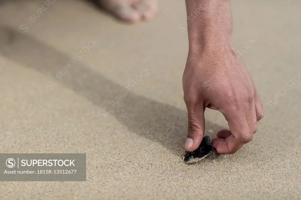 Person picking up a seashell on a beach
