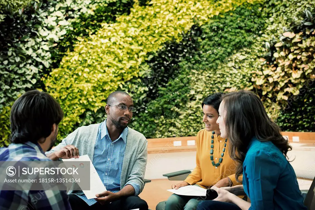 Young business people discussing in front of green plant wall