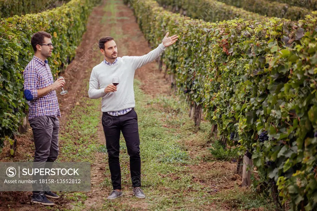 Two men in a vineyard holding glasses of red wine