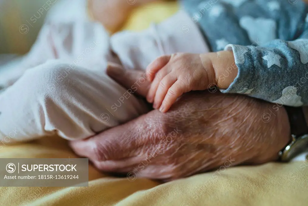 Great granddaughter's hand on great grandmother's hand