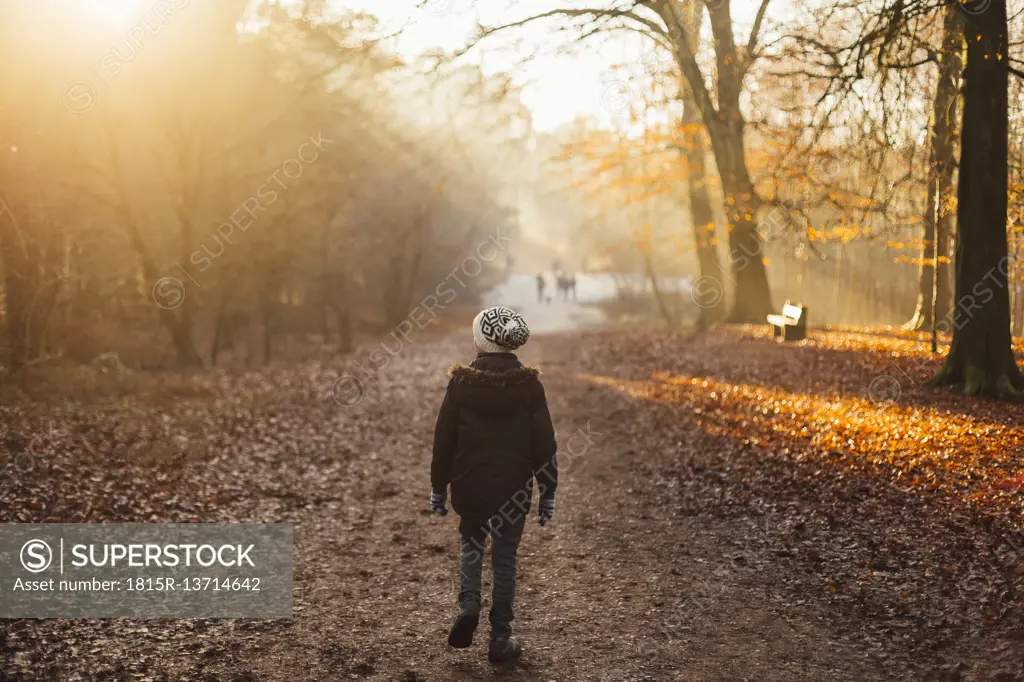 Boy walking through a sun drenched forest