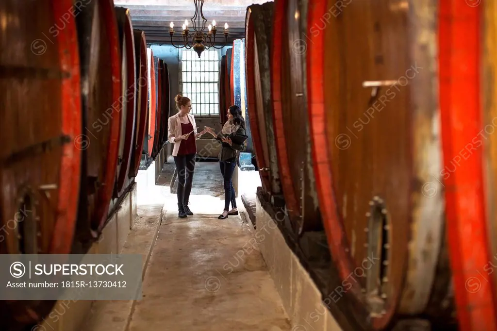 Businesswomen talking in wine cellar