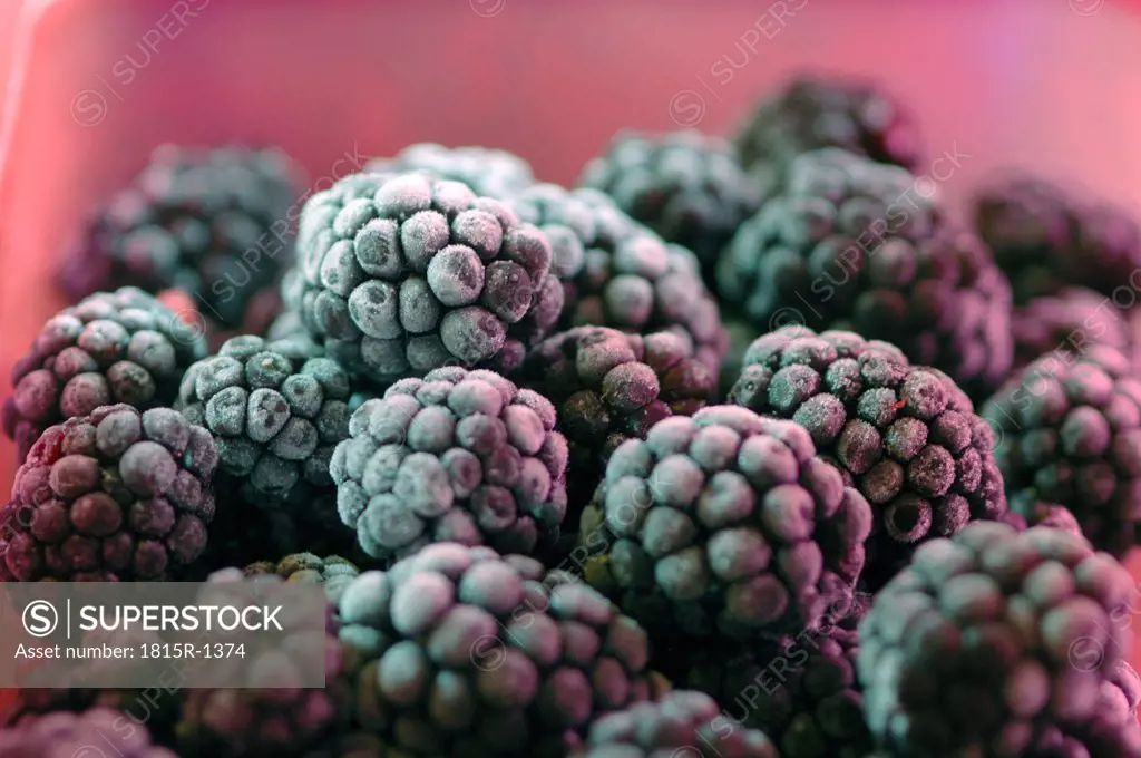 blackberries frozen