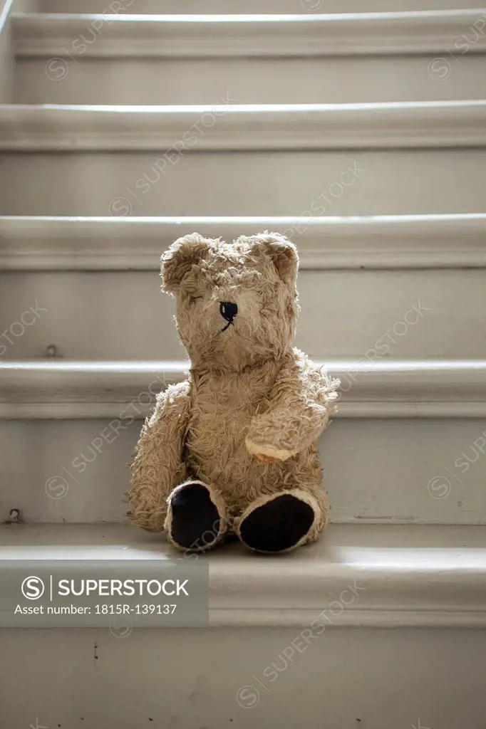 Teddybear on steps