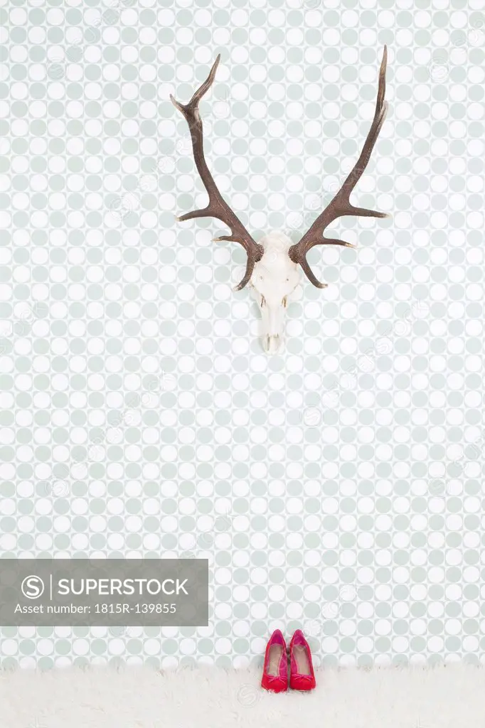 Germany, Freiburg, Deer antler hanging on wall below high heels, close up