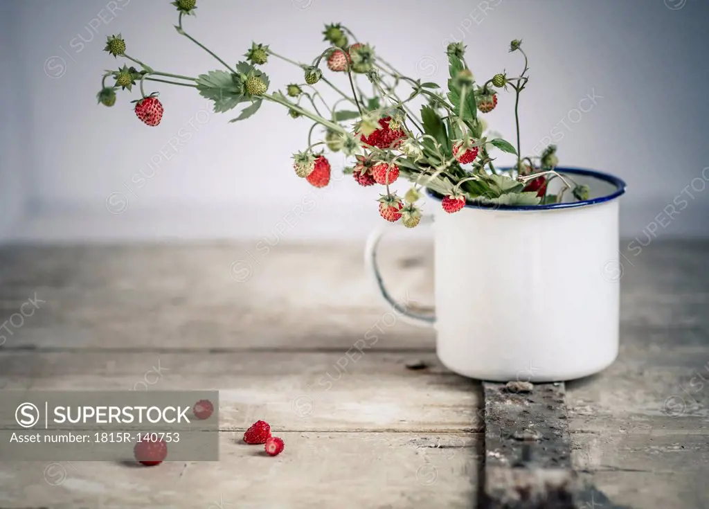 Germany, Baden Wuerttemberg, Bouquet of wild strawberries in enamel cup on old wooden door