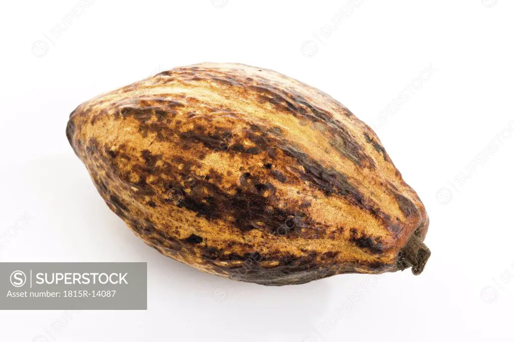 Single cocoa husk