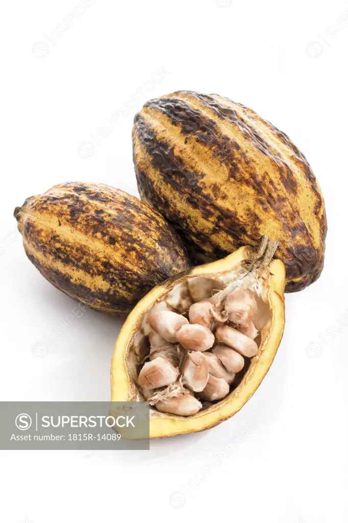 Cacao plant, husk and beans