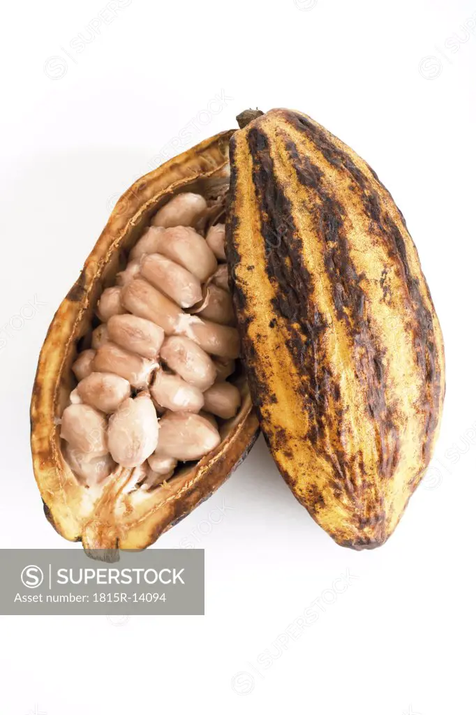 Open cocoa husk, elevated view