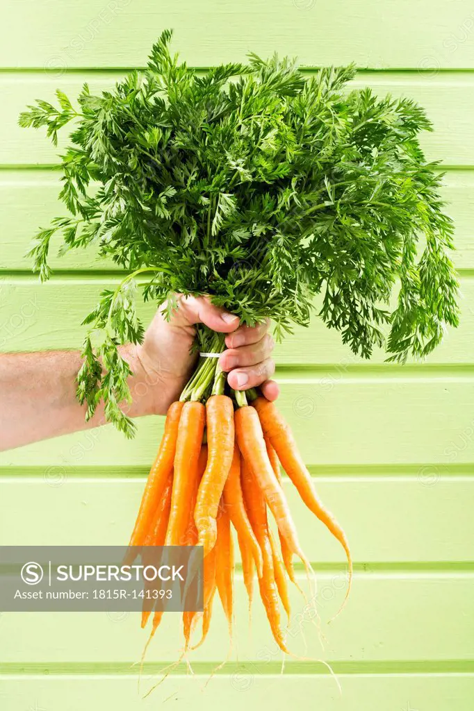 Mature man holding bunch of carrots against green background, close up