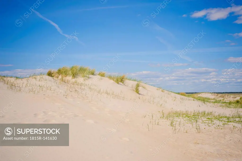 Denmark, Romo, Sand dunes at North Sea