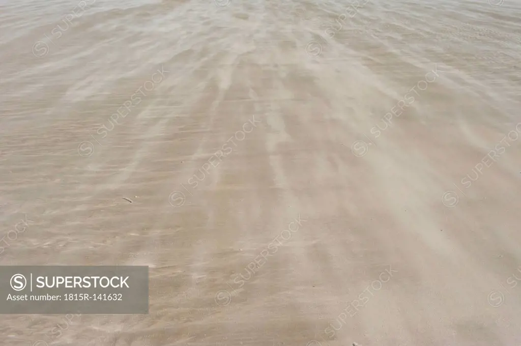 Denmark, Romo, Sand dunes at North Sea