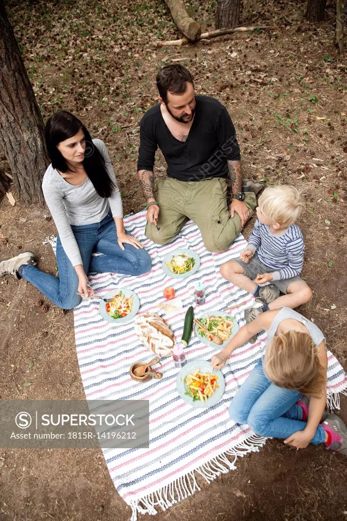Family having a picnic in forest