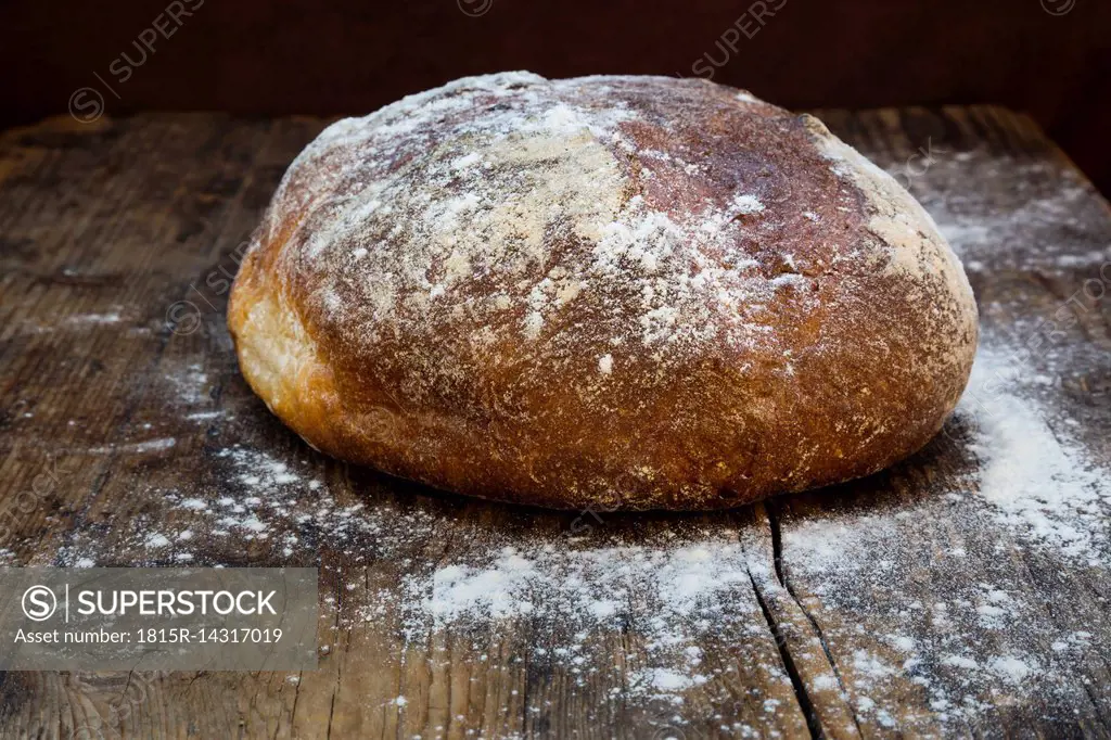 Wheat bread powdered with flour on dark wood