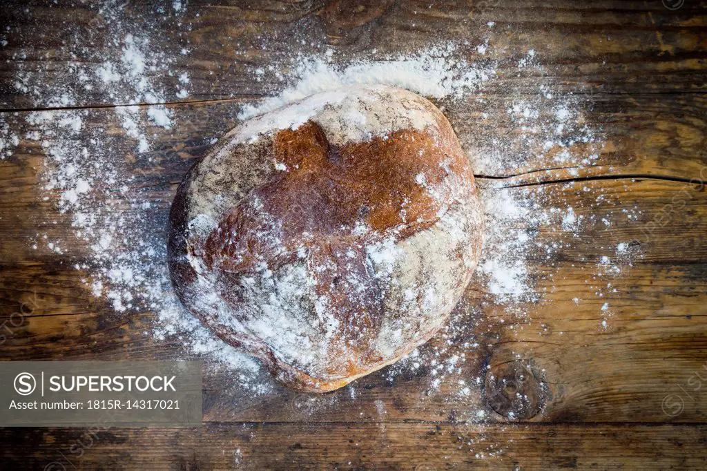 Wheat bread powdered with flour on dark wood