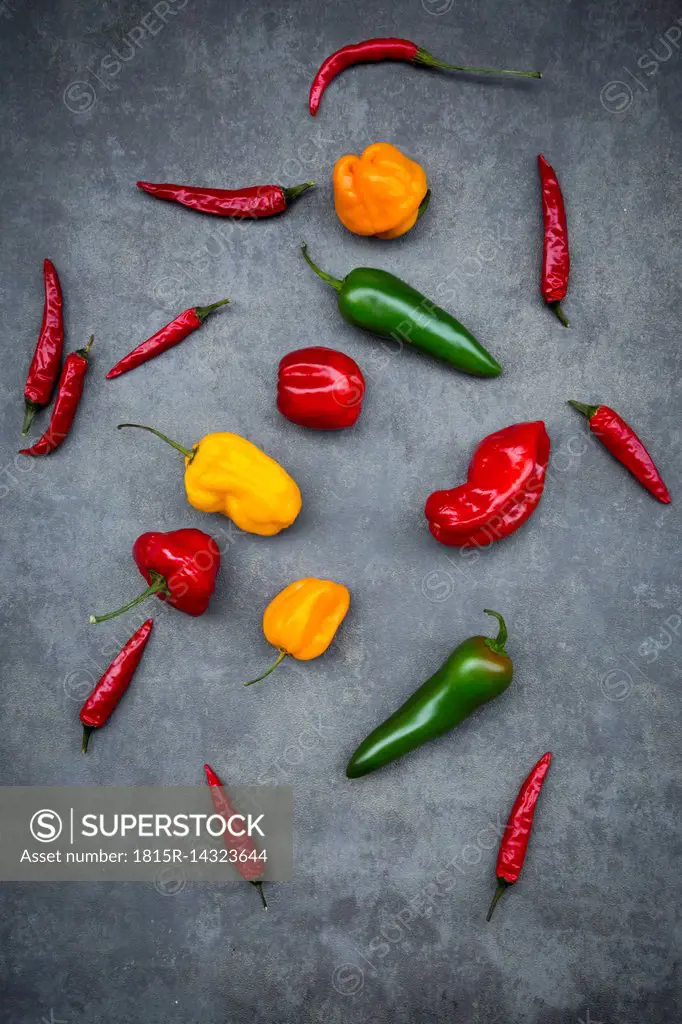 Various chili pods on grey background