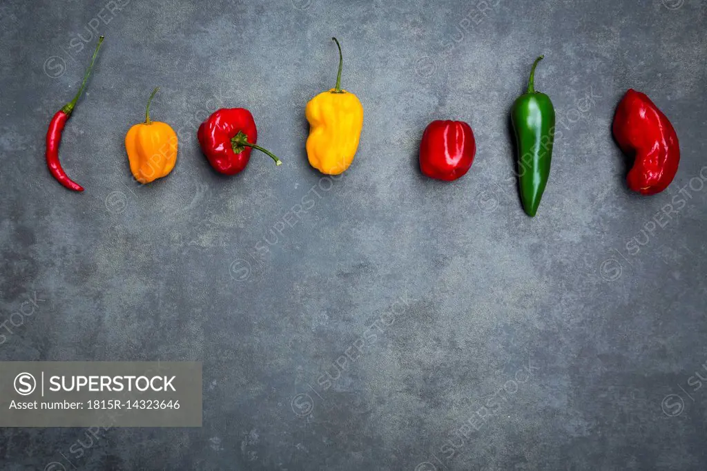 Row of various chili pods on grey background