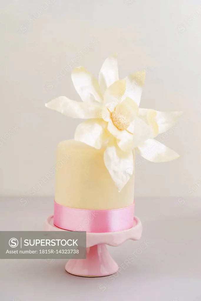 Mini fancy cake with fondant and flower made of edible paper