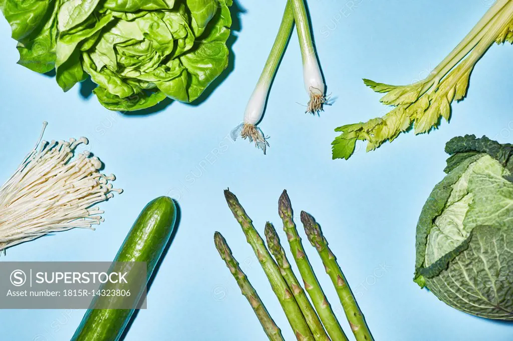 Different sorts of green vegetable on blue background