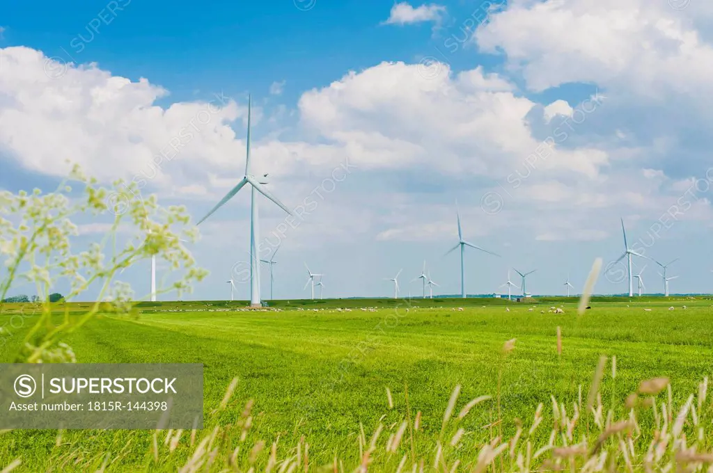 Germany, Schleswig-Holstein, View of wind turbine in fields